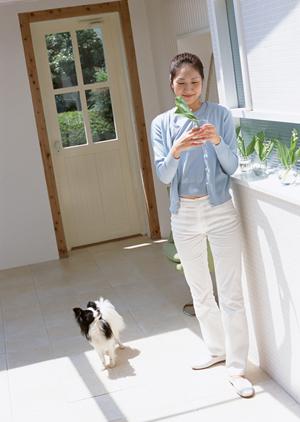 埼玉で自宅でのペット葬儀を執り行う