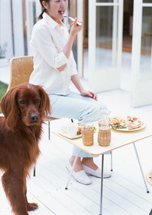 旭川市にある緑の森どうぶつ病院 旭神センター病院の全て！充実設備と高品質な動物医療の紹介